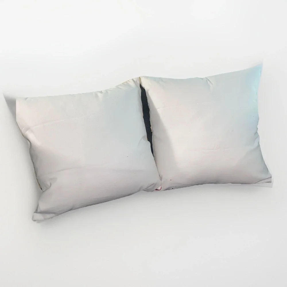 Set of 2 Frida Kahlo Embroidered Throw Pillow Down Feather 18 By 18 Pillows